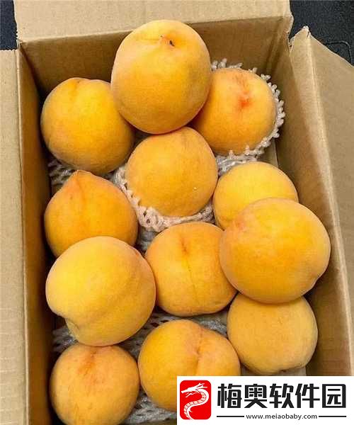 9612-黄桃亚洲品质-美味不可挡