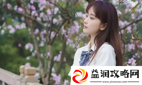 免费网站在线观看人数在哪电视剧