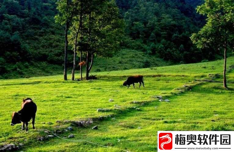 伊春园一路二路三路入口