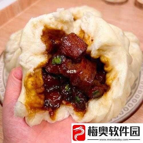 太子宠妾高肉红烧肉包讲的什么之探秘