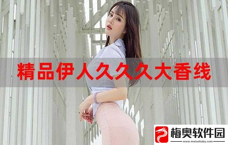 大香煮伊有限公司：专注优质产品与服务