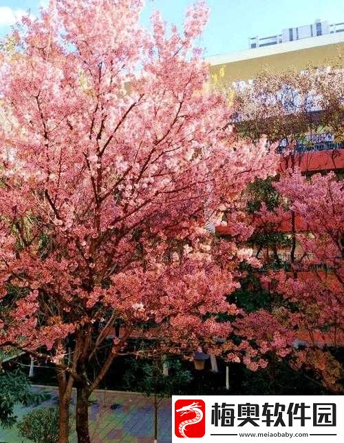 病勤楼栋