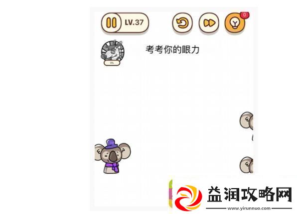 烧脑大师