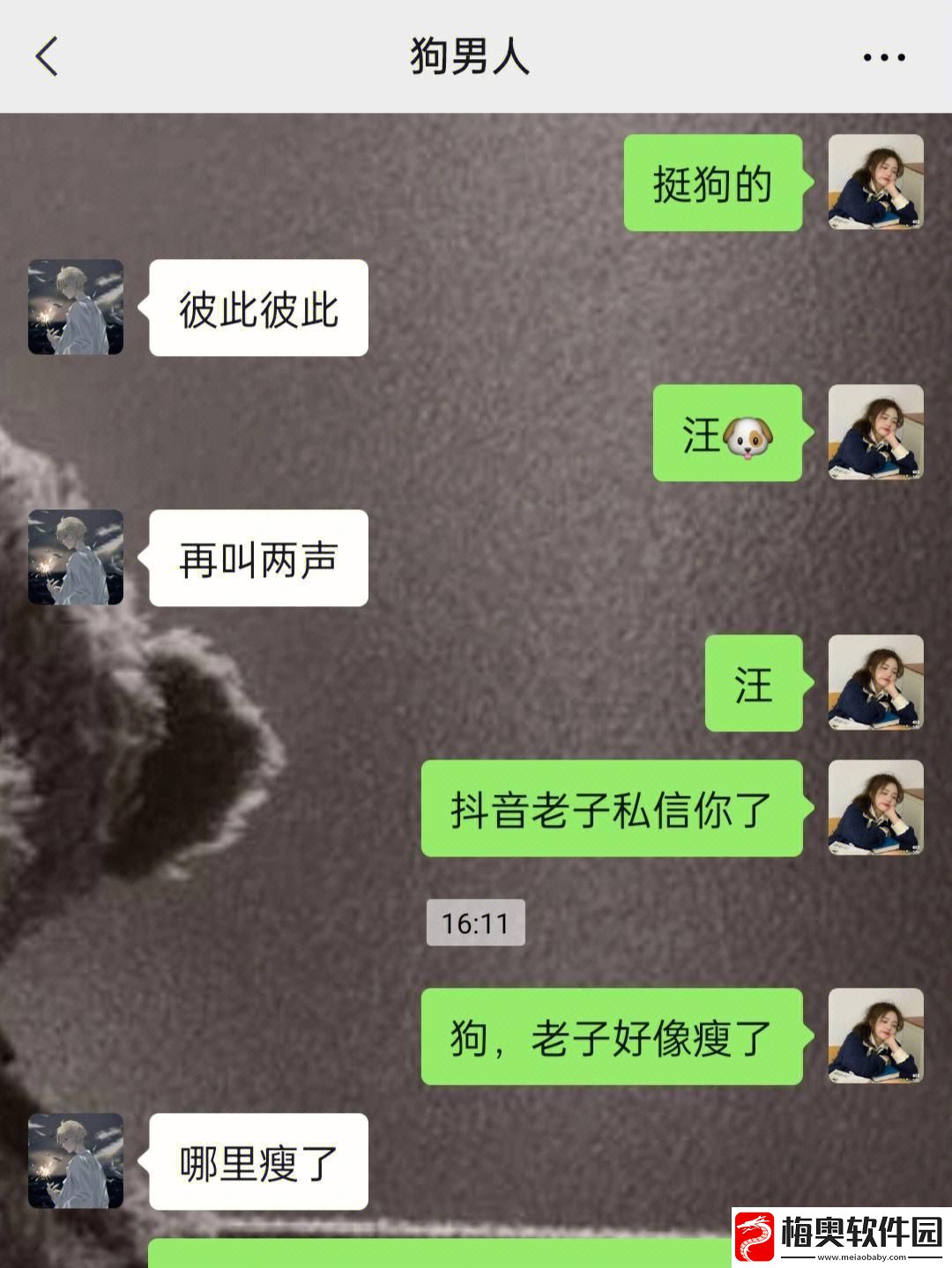 我的狗夫君
