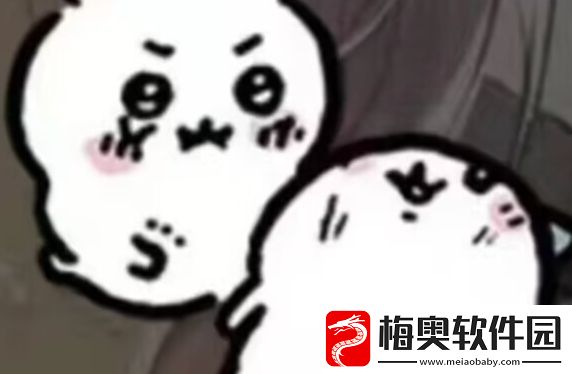 自嘲熊作者是女生吗
