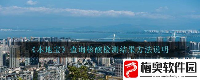 本地宝怎么查询核酸检测结果