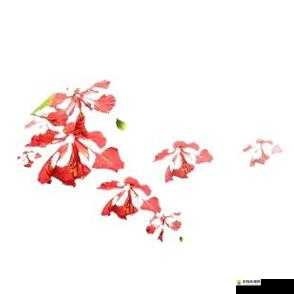 打扮漂亮18岁是天堂是什么歌