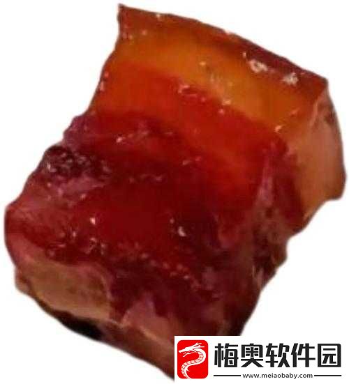 太子宠妾高肉红烧肉包讲的什么