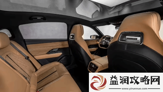 挑战特斯拉Model