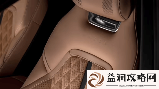 挑战特斯拉Model