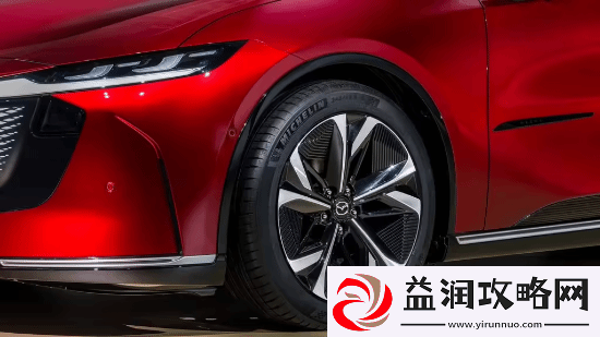 挑战特斯拉Model