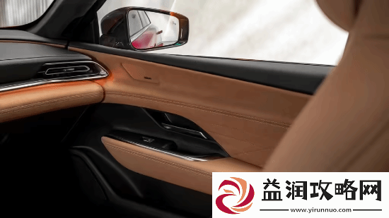 挑战特斯拉Model
