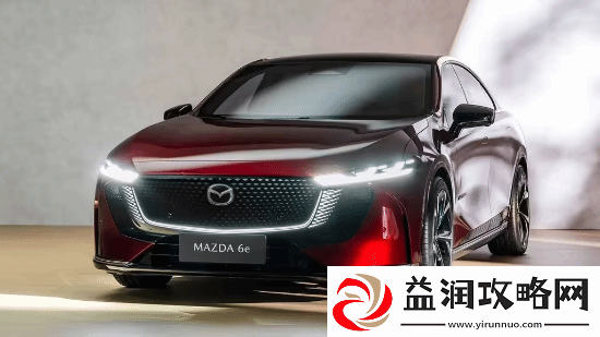 挑战特斯拉Model