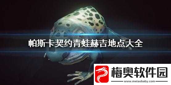帕斯卡契约青蛙赫吉的作用详细介绍及它会给予什么物品