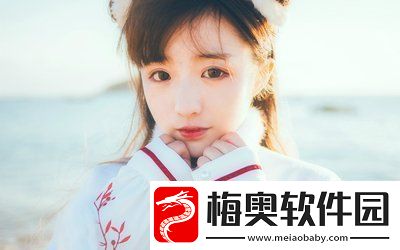 日本免费saas-crm：助力中小企业实现数字化转型的最佳选择！