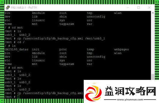 超级密码telnet探秘：笑谈网事-云端揭秘
