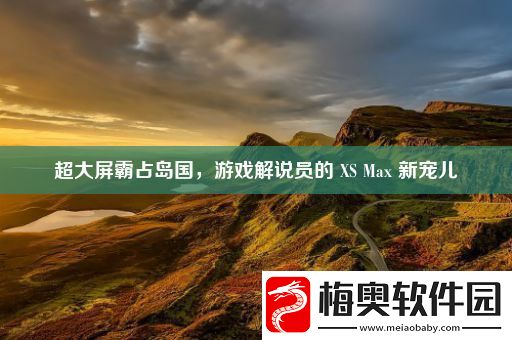 超大屏霸占岛国-游戏解说员的-XS-Max-新宠儿