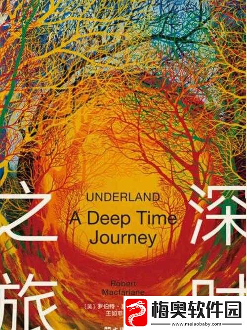 神秘电影的-5-个路径入口-探寻未知之旅