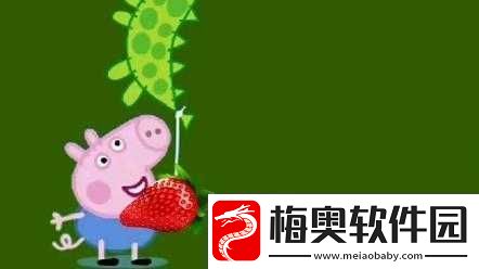 小猪视频草莓视频：精彩不断-欢乐无限