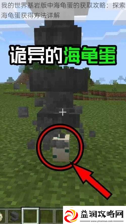我的世界基岩版中海龟蛋的获取攻略：探索海龟蛋获得方法详解