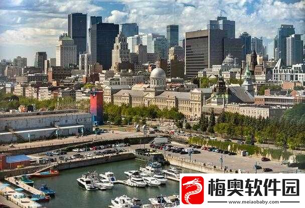 肢体的绣感加拿大