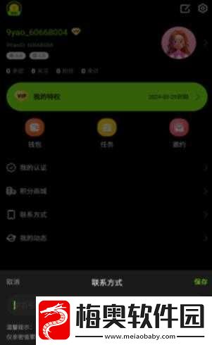 九幺高危风险-9.1-免费版安装大全：详细指南