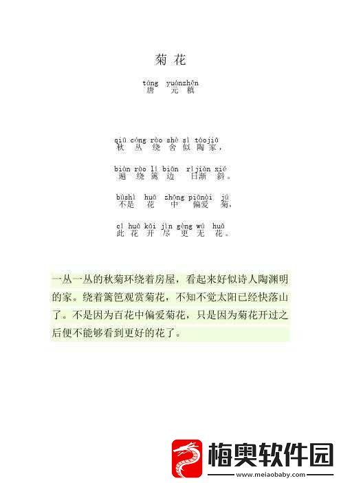 答错一题菊花放一支笔