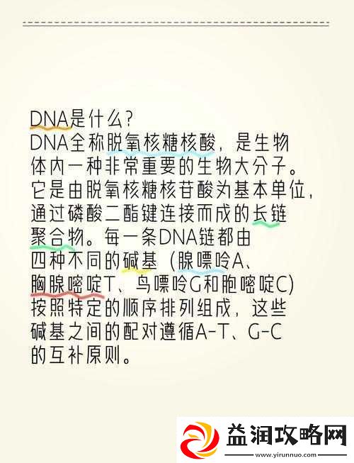 人与-dna-的-dna-免费：探索其背后的奥秘与意义以及对人类的影响