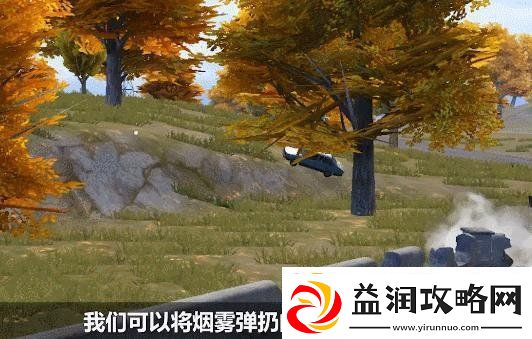 和平精英王牌级投掷物操作技巧