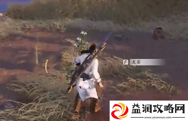 燕云十六声杏花不见的获取方法及详细攻略分享