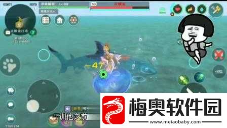 创造与魔法灰鲭鲨几级可以抓