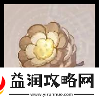 无限暖暖植物怎么采集