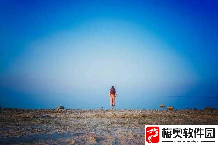 四叔多次索取盛年引争议