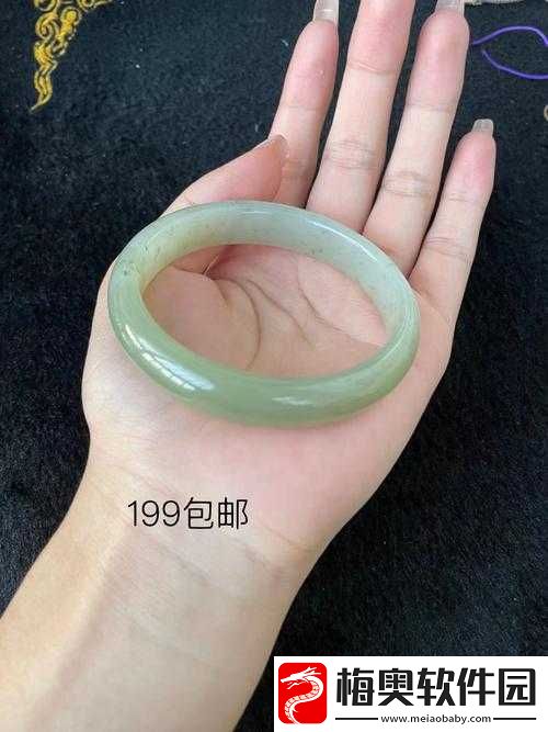 杨大壮和田桂花第二十九后续发展