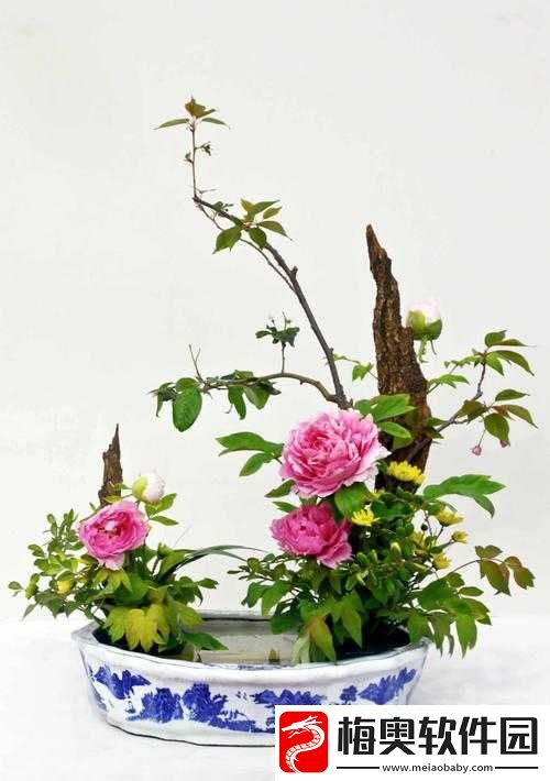 插花弄玉内容梗概