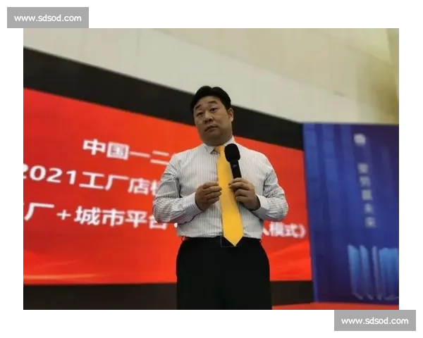 vs球技术解析与实战应用发展趋势与行业前景深度探讨研究综述