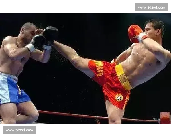 柳海龙对决泰拳体系巅峰之战引发中外搏击理念正面碰撞与时代争辩