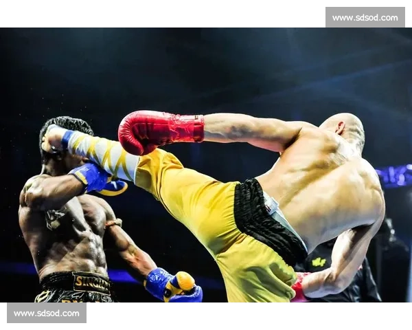 播求与一龙首战回顾两位顶级搏击巨星的巅峰对决精彩瞬间揭秘